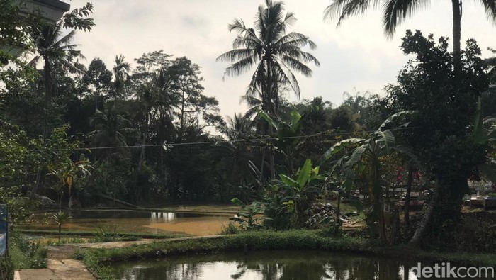 Suasana di Kecamatan Cisaat Sukabumi (Foto: Siti Fatimah/detikJabar)